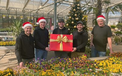 Einladung Grüne Weihnacht