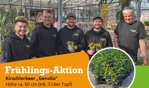 Frühlings-Aktion